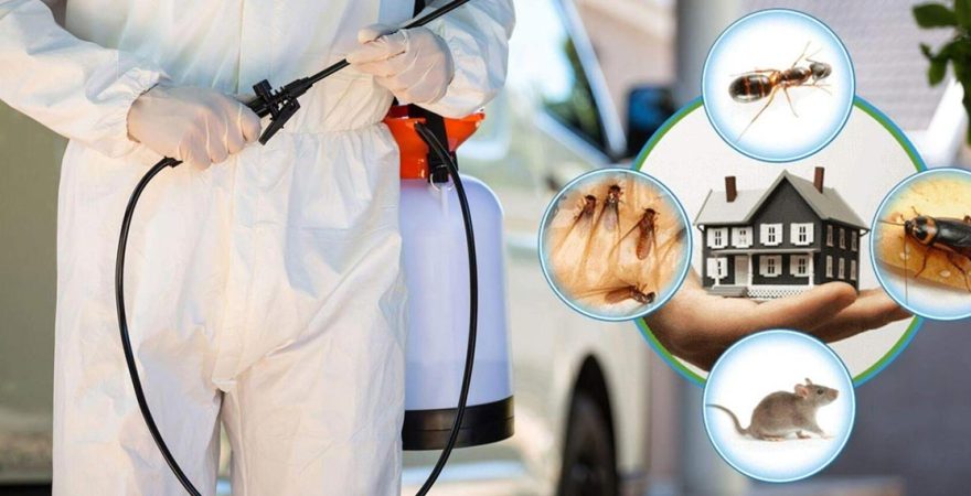 Kavaklıdere Böcek İlaçlama