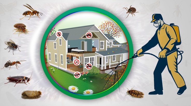 Kavaklıdere Böcek İlaçlama