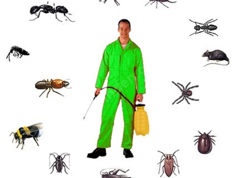 Kavaklıdere Böcek İlaçlama